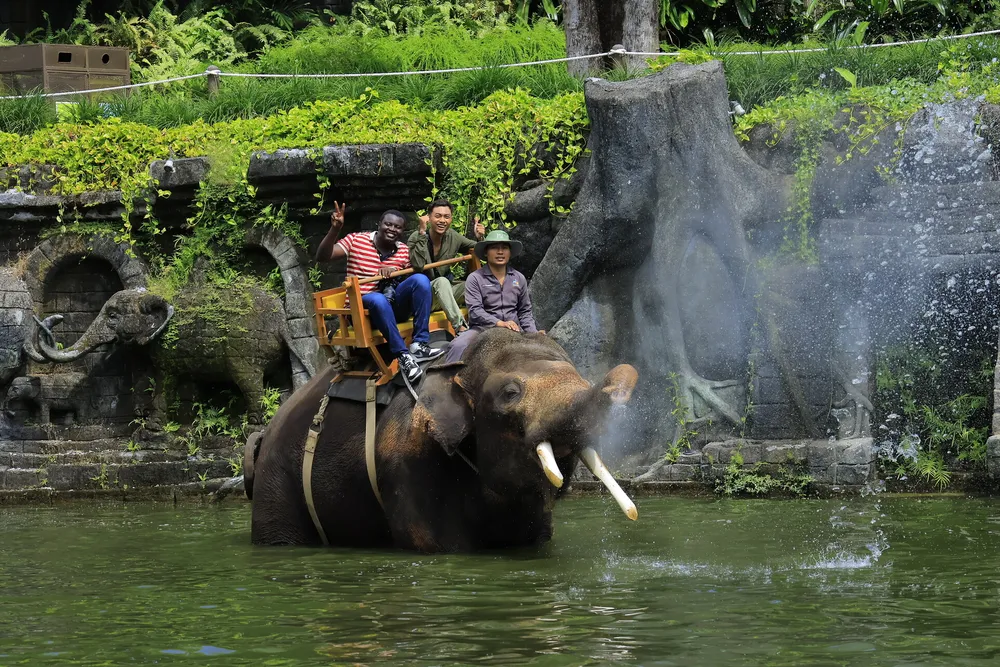 Kenneth riding an elephant