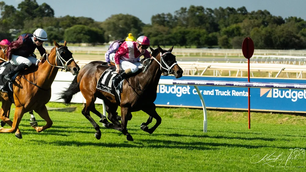 Horses racing at Ascot in Perth