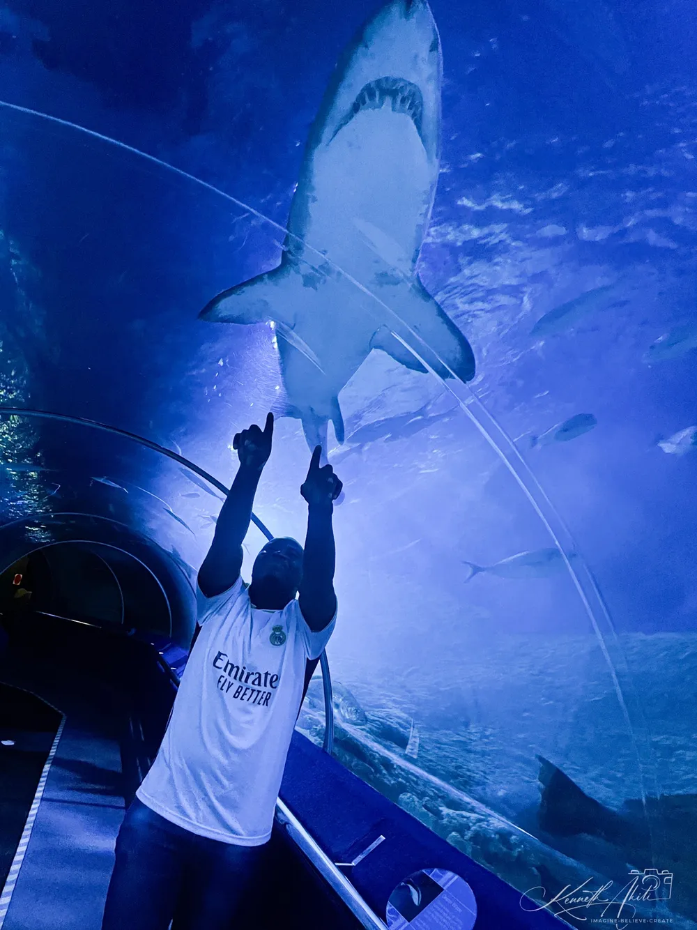 Kenneth watching a shark in the water